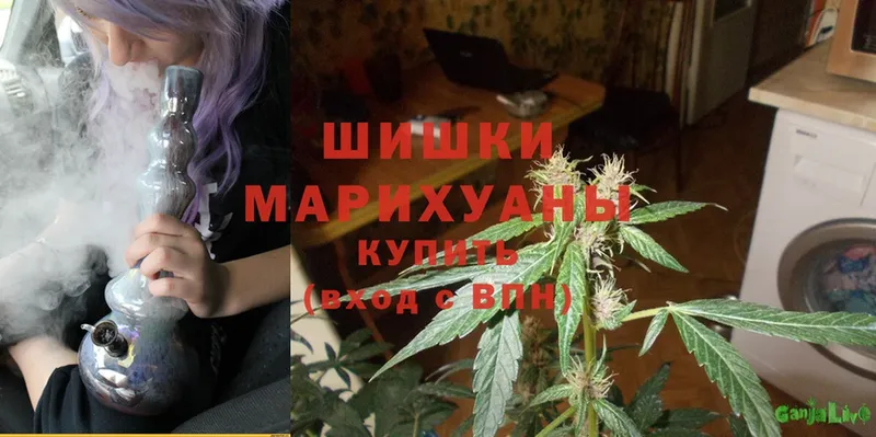 Бошки Шишки Ganja  закладки  МЕГА ONION  Плавск 